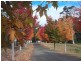 150 Coates Road, Failford NSW 2430