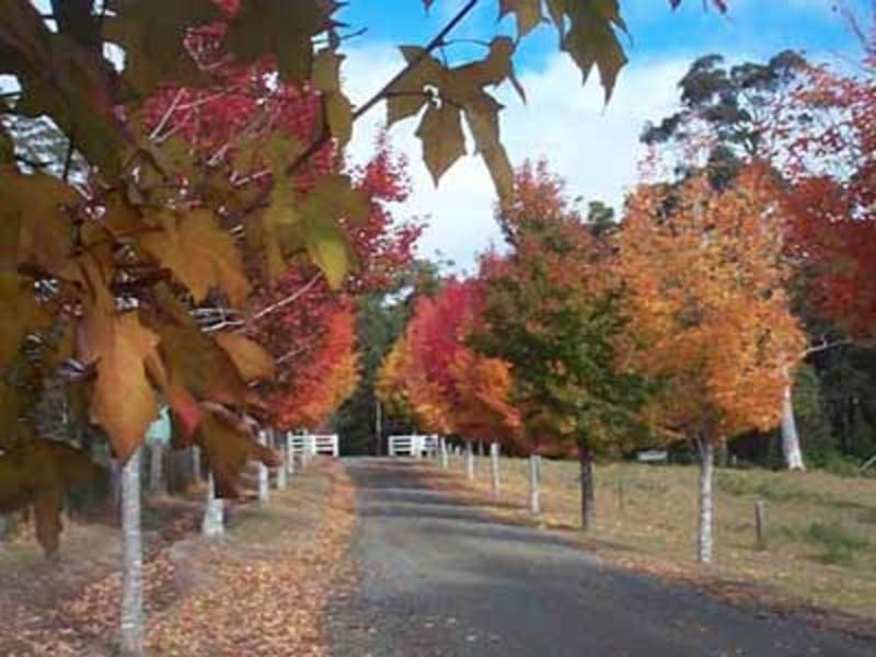 150 Coates Road, Failford NSW 2430