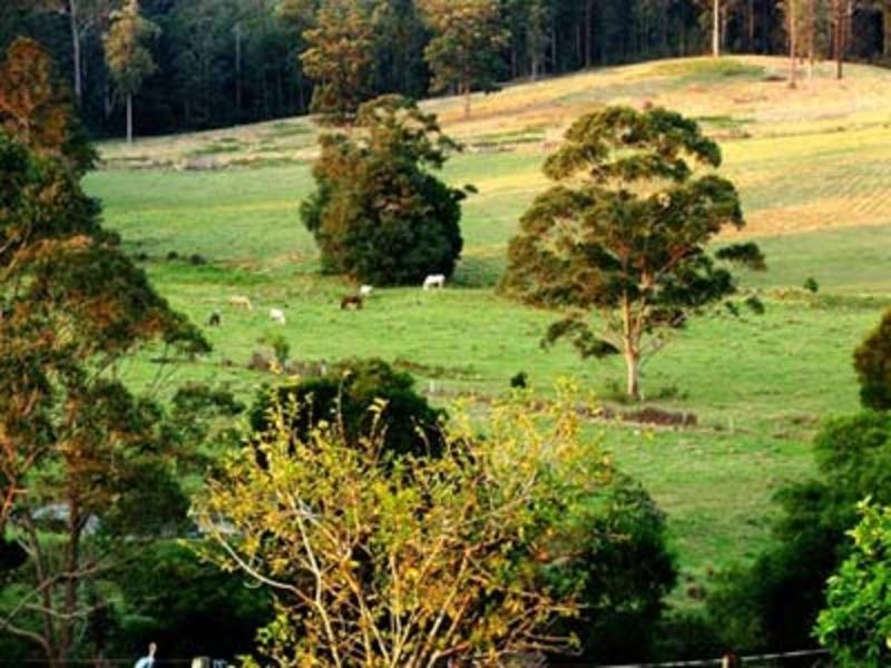 150 Coates Road, Failford NSW 2430