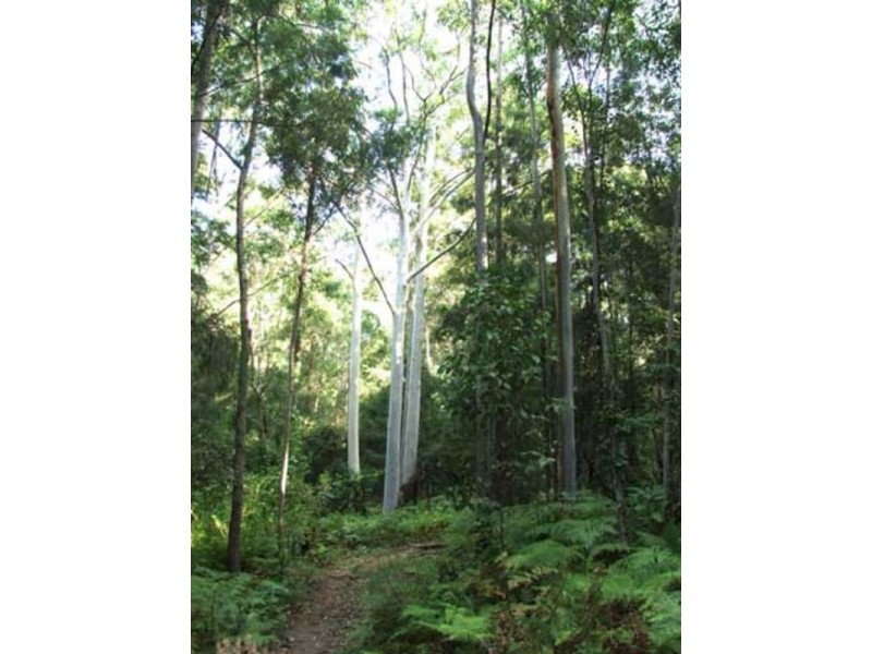 150 Coates Road, Failford NSW 2430
