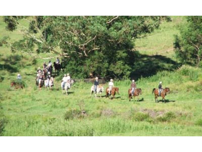 148 The Summerhouse, 148 Coates Road, Failford NSW 2430