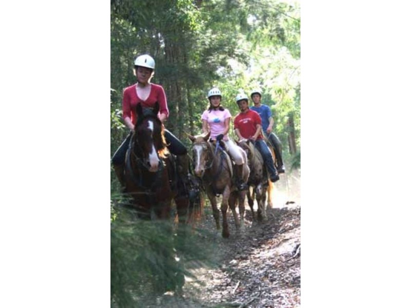 148 The Summerhouse, 148 Coates Road, Failford NSW 2430