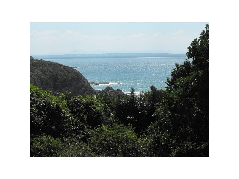 67 Burgess Road, Forster NSW 2428