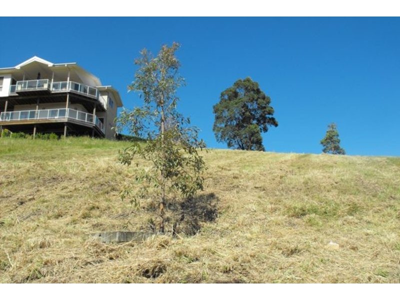 5 The Saddle, Tallwoods Village NSW 2430