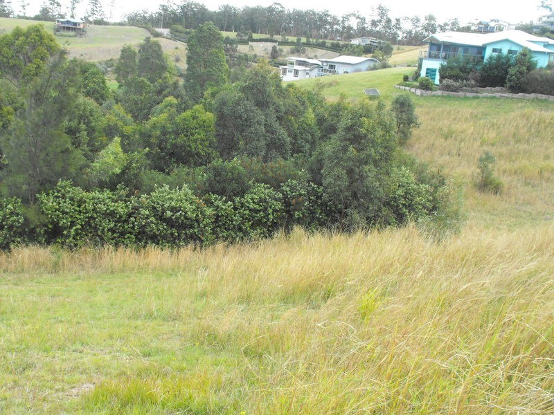5 The Saddle, Tallwoods Village NSW 2430