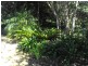 Forster NSW 2428