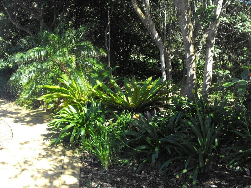 Forster NSW 2428