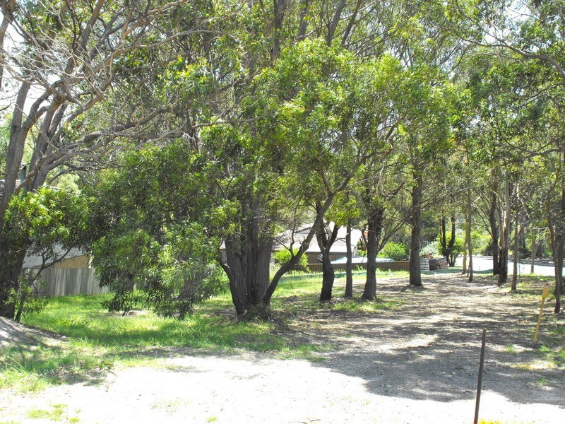 43 Boundary Street, Forster NSW 2428