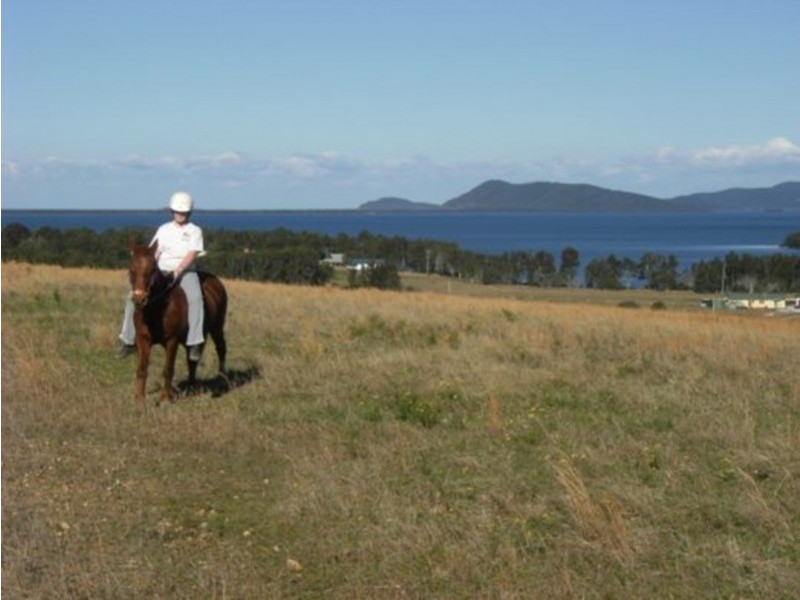 133 Moorooba Road, Coomba Park NSW 2428