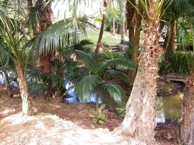 23 Carmona Drive, Forster NSW 2428