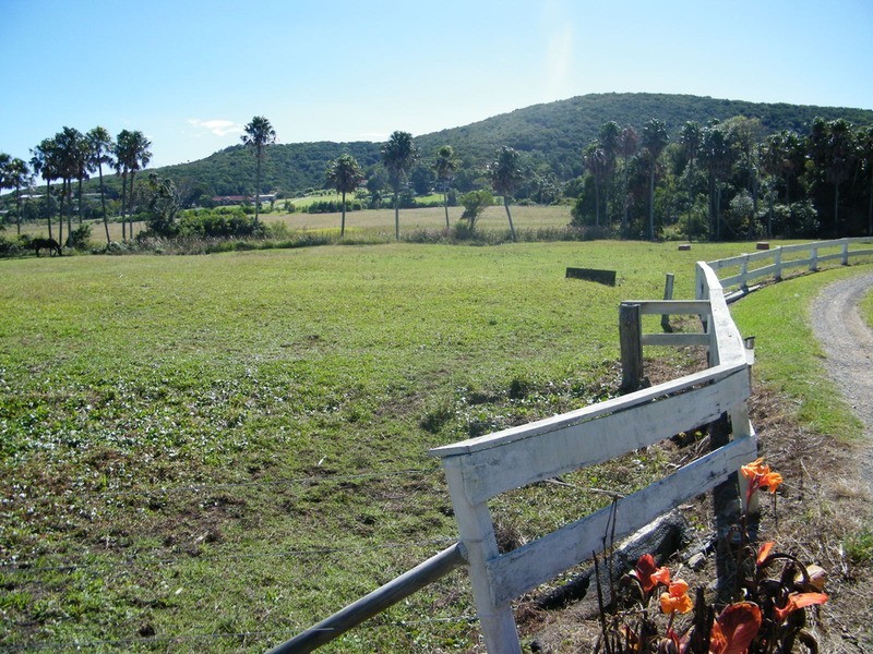 4 Carmona Lane, Forster NSW 2428