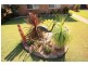 5 Royal Close, Forster NSW 2428