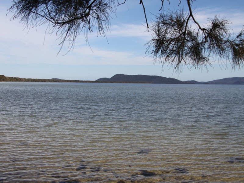 99 Green Point Drive, Forster NSW 2428