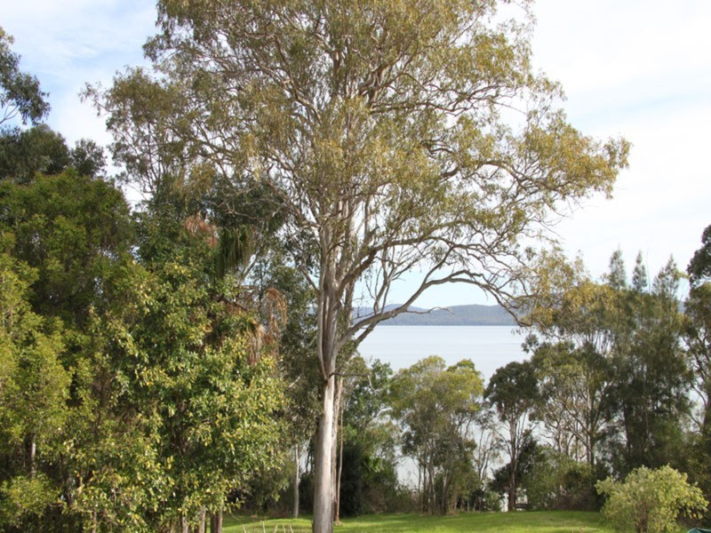 99 Green Point Drive, Forster NSW 2428