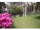 9 Zamia Place, Forster NSW 2428