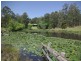 852  Wang Wauk Road, Dyers Crossing NSW 2429