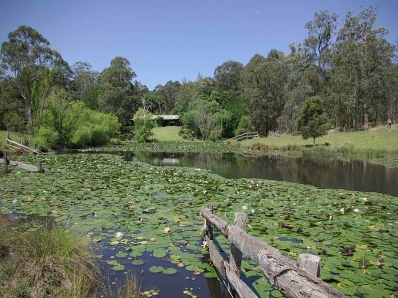 852  Wang Wauk Road, Dyers Crossing NSW 2429