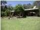 852  Wang Wauk Road, Dyers Crossing NSW 2429