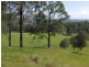 852  Wang Wauk Road, Dyers Crossing NSW 2429