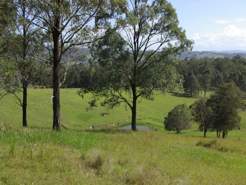 852  Wang Wauk Road, Dyers Crossing NSW 2429