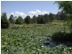 852  Wang Wauk Road, Dyers Crossing NSW 2429