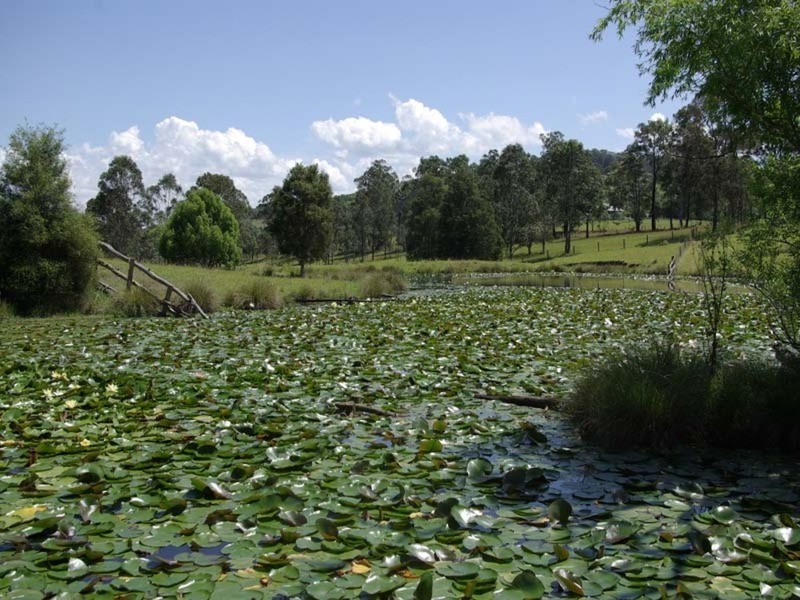 852  Wang Wauk Road, Dyers Crossing NSW 2429