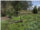 852  Wang Wauk Road, Dyers Crossing NSW 2429
