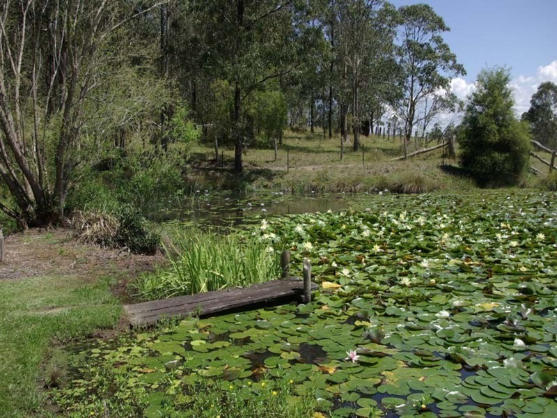 852  Wang Wauk Road, Dyers Crossing NSW 2429