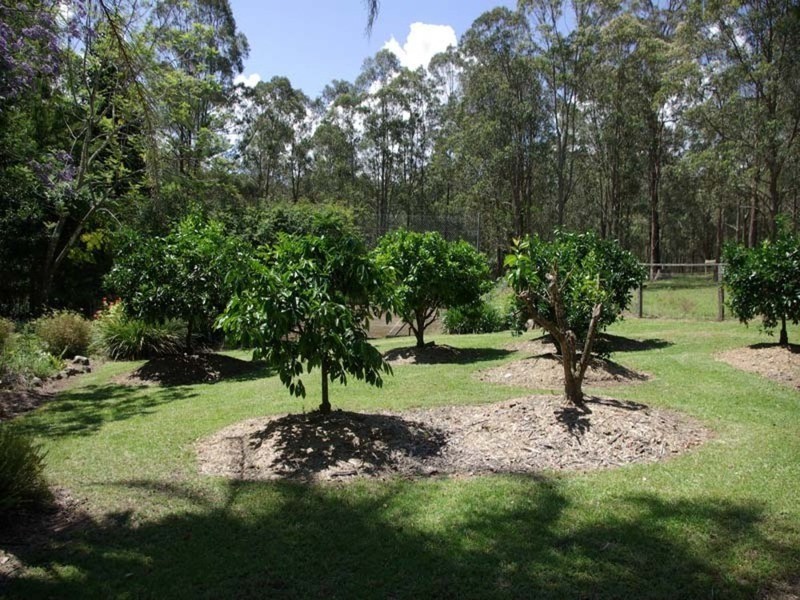 852  Wang Wauk Road, Dyers Crossing NSW 2429
