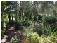 852  Wang Wauk Road, Dyers Crossing NSW 2429