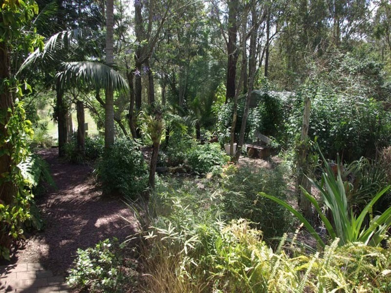852  Wang Wauk Road, Dyers Crossing NSW 2429