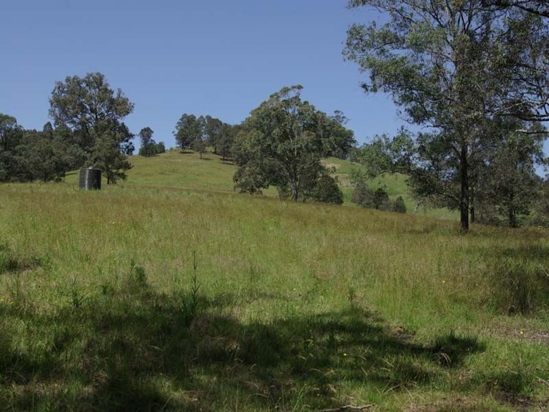 852  Wang Wauk Road, Dyers Crossing NSW 2429