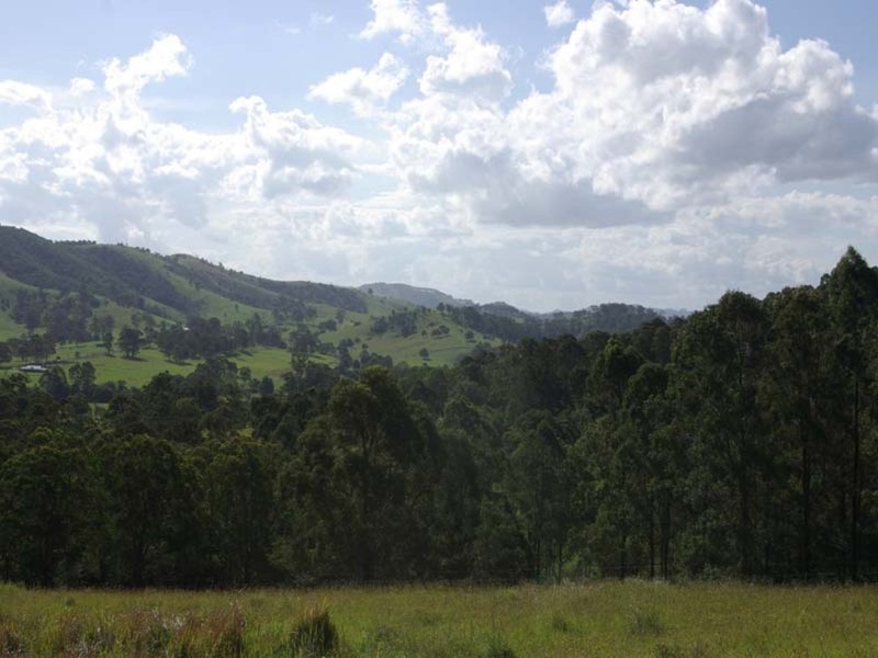 852  Wang Wauk Road, Dyers Crossing NSW 2429