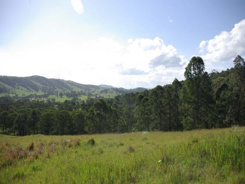 852  Wang Wauk Road, Dyers Crossing NSW 2429