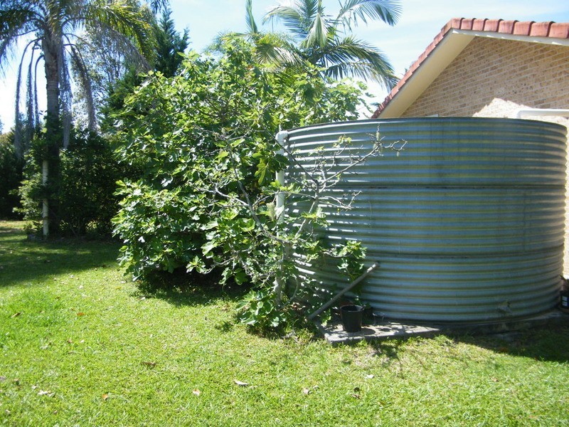 15 Chelmsbrook Drive, Rainbow Flat NSW 2430