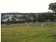 11 Narran Close, Forster NSW 2428