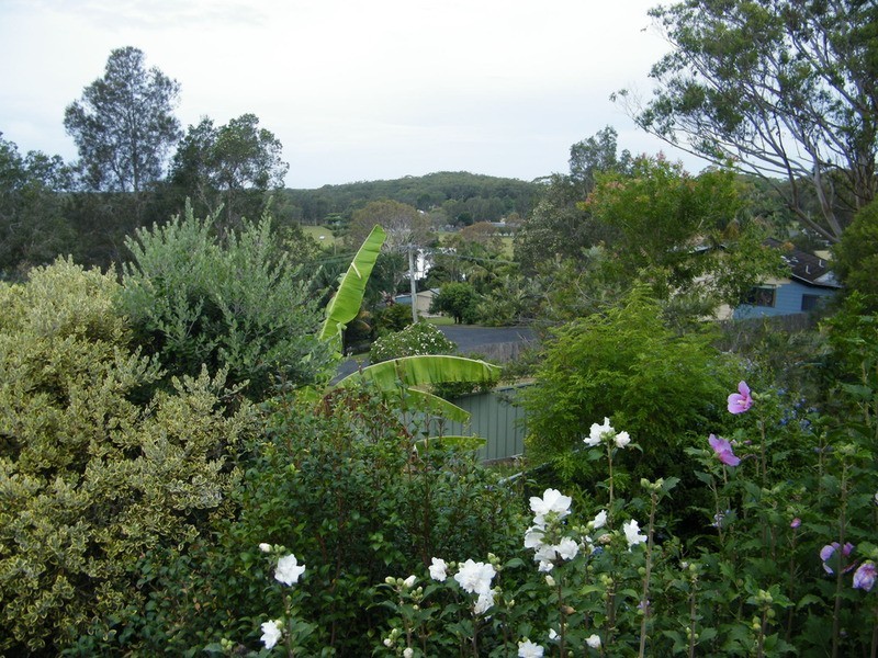 8 Lucas Avenue, Green Point NSW 2428