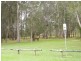 30 Pipers Bay Drive, Forster NSW 2428