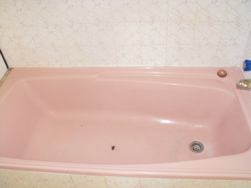 Flat 1/21 Bruce Street, Forster NSW 2428