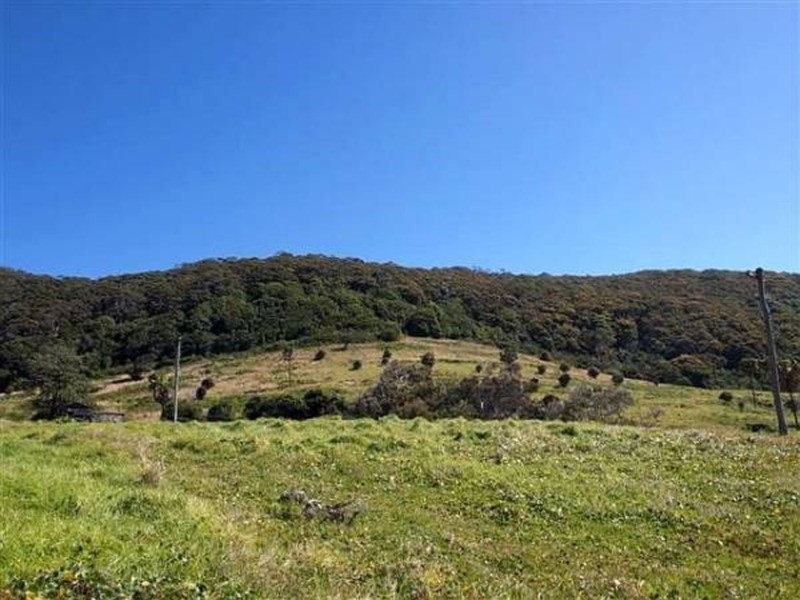 1/87 Newman Avenue, Blueys Beach NSW 2428