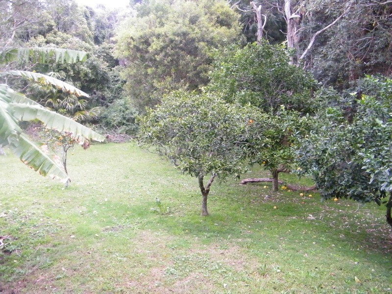 28 Stephen Street, Forster NSW 2428
