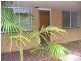 6/7 Baird Street, Tuncurry NSW 2428
