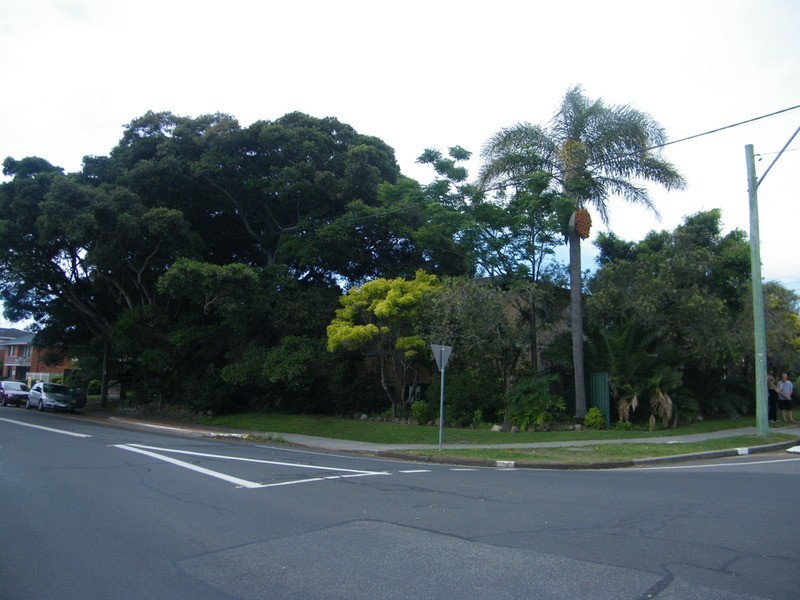 54  Little Street, Forster NSW 2428