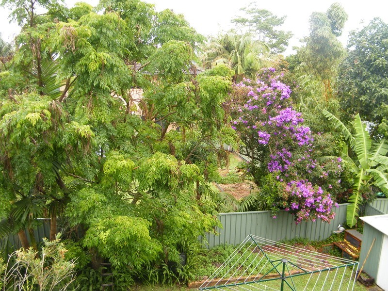 2 Bernhardt Close, Forster NSW 2428