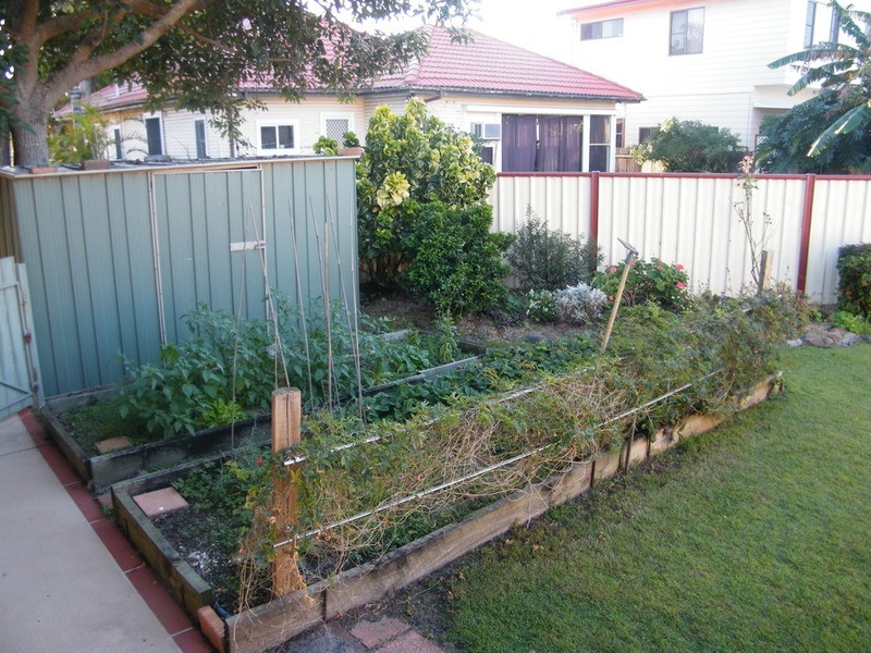 1/3 Strand Street, Forster NSW 2428