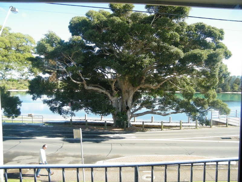 4/48 Little ‘Silversands’ Street, Forster NSW 2428