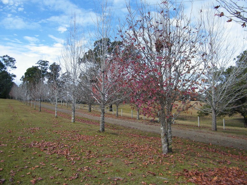 1523 The Lakesway, Rainbow Flat NSW 2430