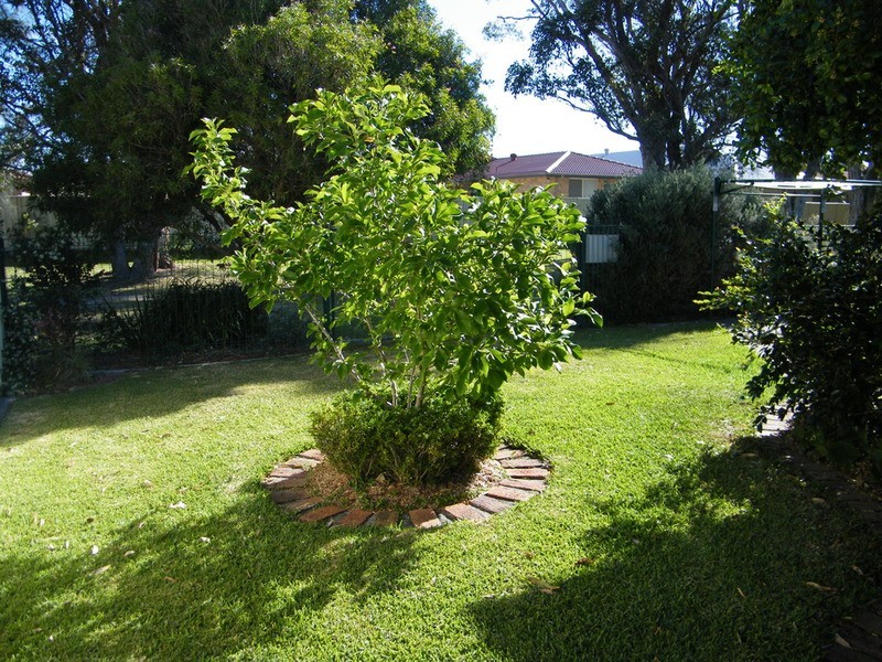 26 Cassina Crescent, Forster NSW 2428