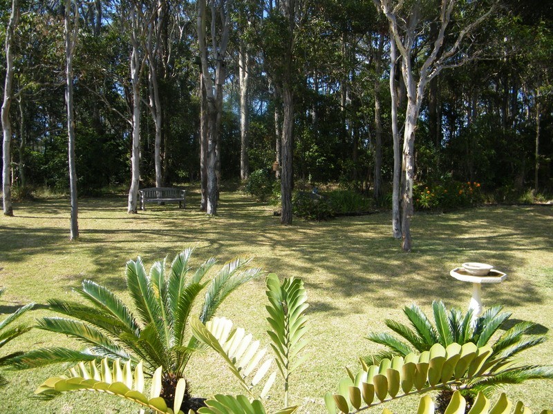 21 Zamia Place, Forster NSW 2428