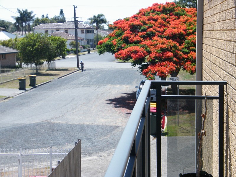 7/50 – 52 Little Street, Forster NSW 2428